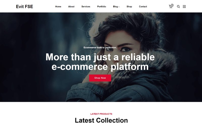 Evit FSE homepage preview