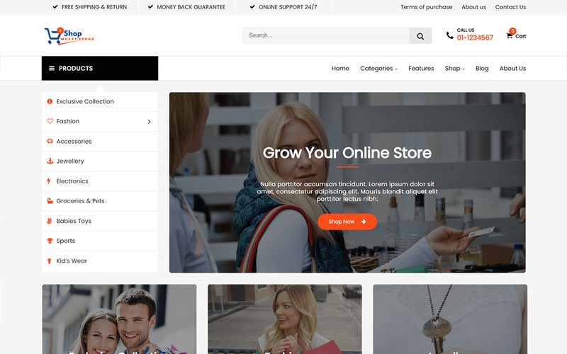 Multi Store homepage preview