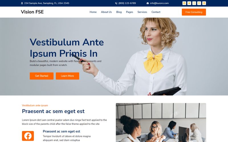 Vision FSE homepage preview